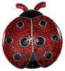 CL004-61 Ladybug